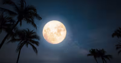 July 2026 Buck Moon Astrology: UK skygazers to see full Moon peak at 15:36 BST