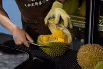 Malaysia durian growers face heat, rain and weaker prices as China demand grows