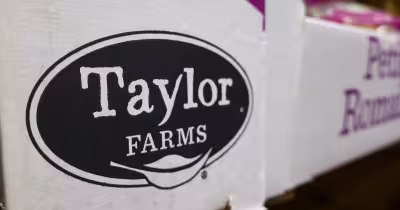 Taylor Farms Brian Thure Lawsuit Accuses Ex-Executive of $32M Theft