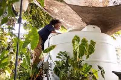 Puerto Rico to begin water rationing Friday as drought deepens