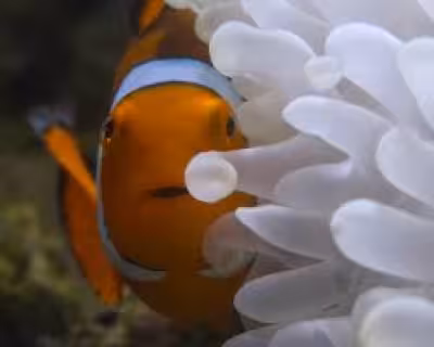 Andrew Lincoln narrates Force of Nature in a sobering coastal watch