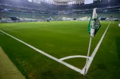 Palmeiras faces Cerro Porteño with Gustavo Gómez back in view for Libertadores