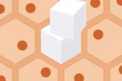 Metformin Transforms Your Gut Into A Sugar Sink as privacy choice debate grows