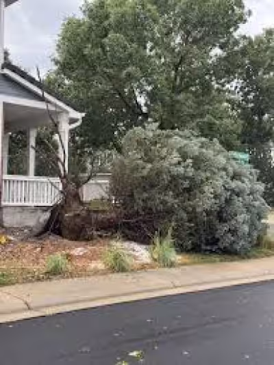 Denver weather 3: showers, thunderstorms and flash flood risk Friday