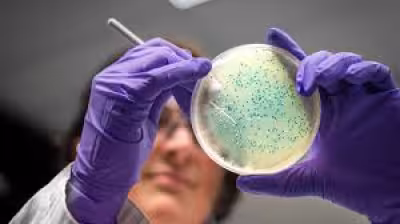 Salmonella Outbreak Linked To Eggs Leaves One Dead In UK