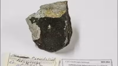 Ross Coulthart and a Tallinn garden mystery that still won’t yield
