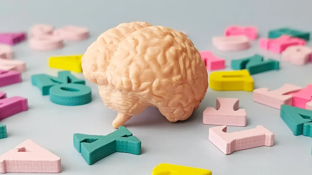 Language Learning Linked To Younger looking Brains In FENS Forum 2026 language-learning-linked-to-younger-looking-brains-in-fens-forum-2026
