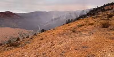 Hawk Fire in Nevada reaches 27% containment as crews gain ground near Reno