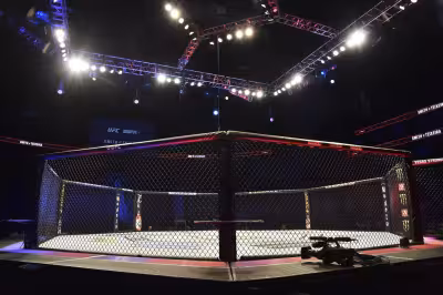 Michael Aljarouj makes UFC debut against Fabia Sintes in Paris