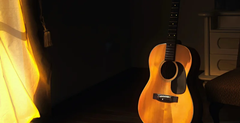 Country Singer Returns to Stage With Eyepatch 2 Months After Crash Left Him Blind in One Eye