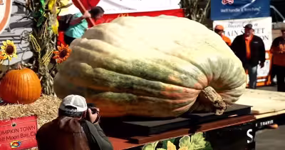 Travis Gienger wins fifth Pumpkin weigh-off crown with 2,389-pound Rocky