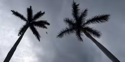 Hurricane Trudy rapidly intensifies as it nears Mexico’s Pacific coast