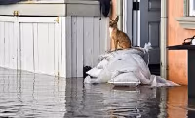 Newport Beach Flooding Swamps Yacht Club, Streets in Record Tide