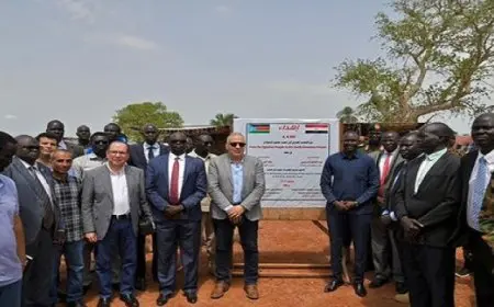 وزير الري: التعاون بين مصر وجنوب السودان في مجال الموارد المائية والري يمتد لسنوات طويلة