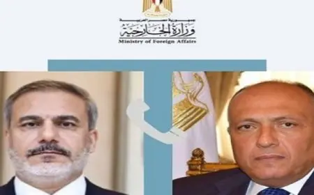 وزير الخارجية ونظيره التركي يؤكدان ضرورة التوصل بشكل عاجل لوقف فوري ودائم لإطلاق النار في غزة