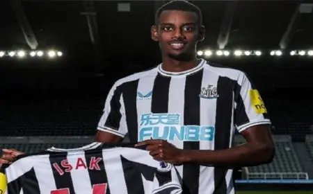 ديلي ميل: اتصالات من البلوز لخطف مهاجم نيوكاسل بـ136 مليون يورو