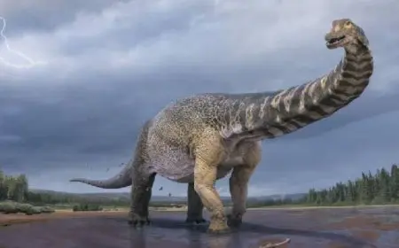 اكتشاف بقايا دينا عملاق جديد لديه قرون عديدة ومنقار