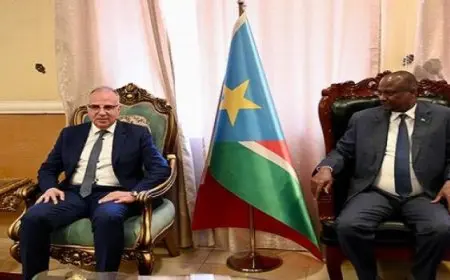 خلال استقبال نائب رئيس جنوب السودان له .. وزير الري : حريصون على تعزيز علاقات التعاون الاقتصادي المشتركة