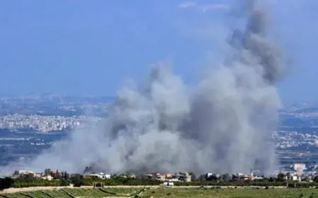 قوات الاحتلال الإسرائيلي تواصل قصف قرى وبلدات بجنوب لبنان