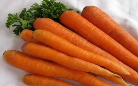 الفوائد الصحية لتناول الجزر يعزز المناعة ويحافظ على عينيك