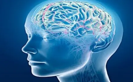 دراسة: الدماغ يحاول التنبؤ بالتجارب المستقبلية عند النوم