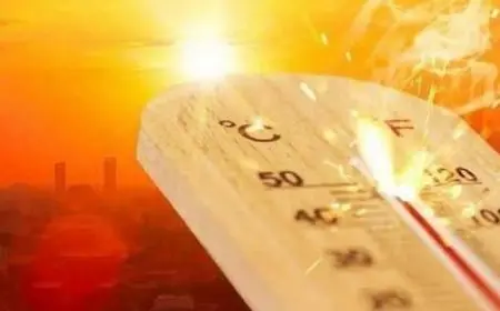 الأرصاد: غدا طقس شديد الحرارة رطب نهارا مائل للحرارة رطب ليلا على أغلب الأنحاء والعظمى بالقاهرة 39