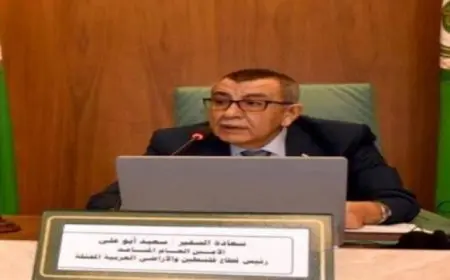 الجامعة العربية تؤكد ضرورة تكثيف الجهود الدولية لوقف العدوان الإسرائيلي وتوفير الحماية للشعب الفلسطيني