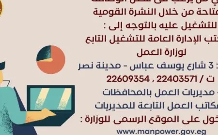 بالإنفوجراف ..3162 فرصة عمل جديدة في 45 شركة خاصة تنتظر شباب 12 محافظة