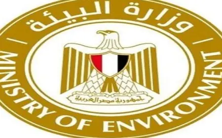 وزيرة البيئة تستعرض تقرير معاينة حادث غرق مركب سفاري بمرسى علم