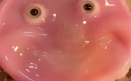 علماء يابانيون يبتكرون روبوت يمكنه أن يبتسم مثل الإنسان