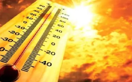 الأرصاد:طقس اليوم شديد الحرارة وارتفاع بالرطوبة والعظمى بالقاهرة 39 درجة
