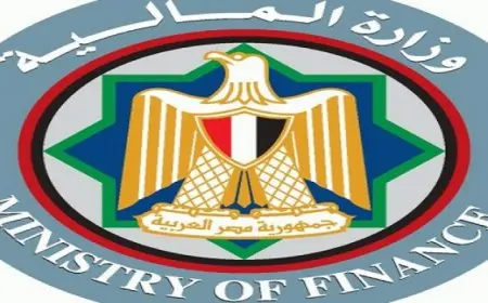 المالية: معهد التمويل الدولي يتناول بشكل إيجابي سداد مصر 25 مليار دولار من الدين المحلي والخارجي منذ مارس