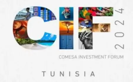 إنتاج النفط الأمريكي والطلب عليه عند أعلى مستوى في 4 أشهر