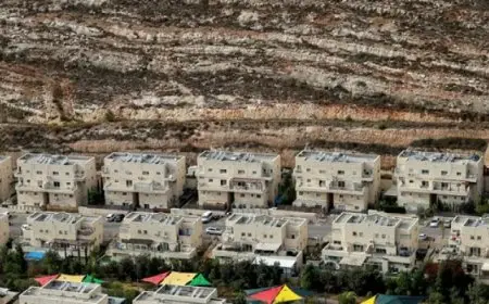 ألمانيا تدين مصادقة حكومة الاحتلال على شرعنة بؤر استعمارية