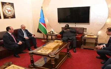 وزير الري يلتقي مستشار رئيس جمهورية جنوب السودان للشئون الأمنية