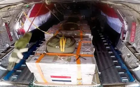 بال وال ..مصر تواصل جهودها في تقديم المساعدات الإنسانية لقطاع غزة