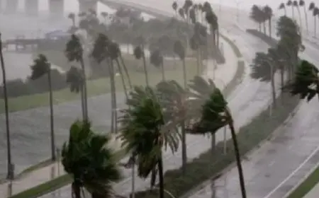 المركز الوطني الأمريكي : العاصفة المدارية بيريل تتحول إلى إعصار