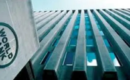 البنك الدولي يشيد بأداء مصر في اجتذاب الاقتصاد الأخضر خلال الـ 10 سنوات الماضية