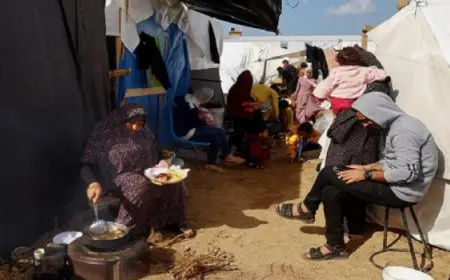 الأمم المتحدة: نزوح 60 ألف شحص من المناطق الواقعة شرق مدينة غزة