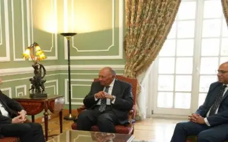 شكري: الوضع الإنساني في غزة يمثل كارثة إنسانية حقيقية