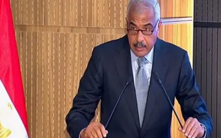 هشام طلعت مصطفى: حصة الدولة فى عائد مشروع” ساوث ميد” تريليون جنيه