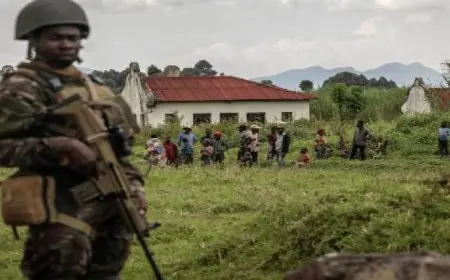 مقتل وإصابة 35 مسلحا في قصف لمليشيات “كوديكو” بشرق الكونغو الديمقراطية