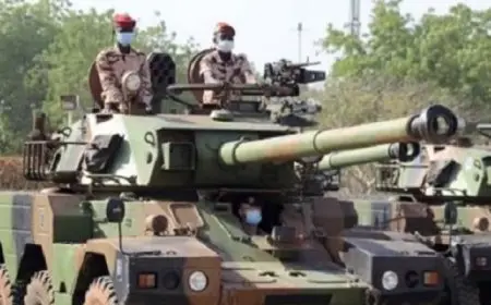 جيش تشاد يعلن تصفية 70 إرهابيا ينتمون لجماعة “بوكو حرام” في عملية عسكرية