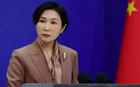 الخارجية الصينية: الناتو بحاجة لمعرفة سبب أزمة أوكرانيا بدلا من إلقاء اللوم على الآخرين