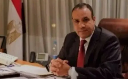 وزير الخارجية: مصر ركيزة الاستقرار في المنطقة ودورها الإقليمي والدولي مشهود به