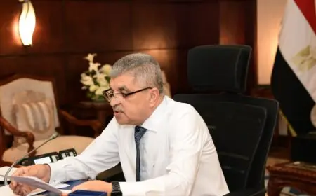 الفريق أسامة ربيع يناقش سياسات إبحار السفن الكورية عبر قناة السويس