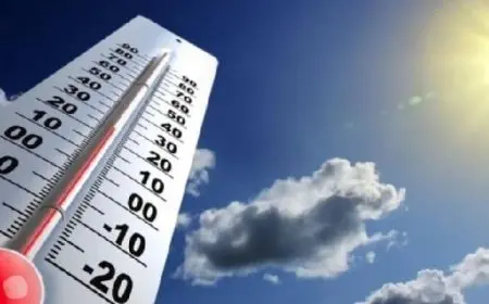 الأرصاد: انخفاض نسبى فى درجات الحرارة اليوم.. والعظمى بالقاهرة 36 درجة