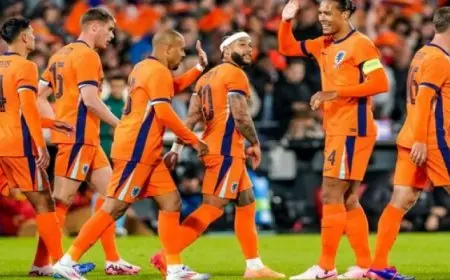 هولندا تخشى مفاجآت تركيا اليوم فى ربع نهائي يورو 2024