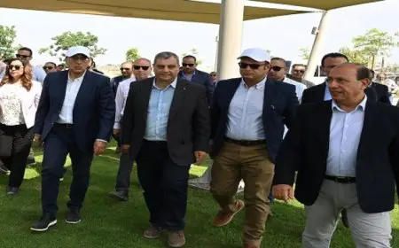 بال ..مدبولى: الحكومة تضع على أجندة اهتماماتها الإسراع فى تنفيذ المبادرة الرئاسية “100 مليون شجرة”