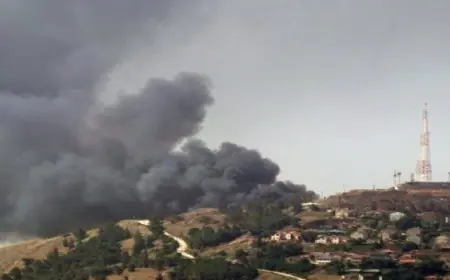 حزب الله يعلن شن هجوم بالمسيرات على مربض مدفعية إسرائيلي في بيت هلل